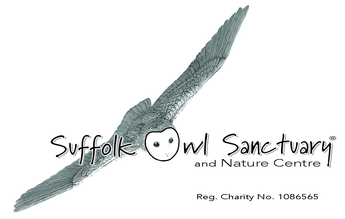 Suffolk Owl Sanctuary logo